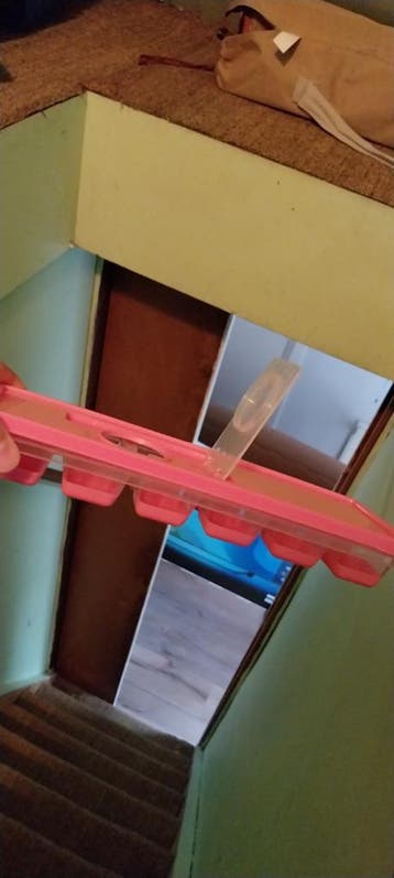 Roze ijsblokjesvorm met deksel