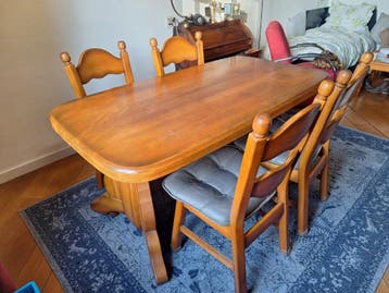 Eetkamer stoelen