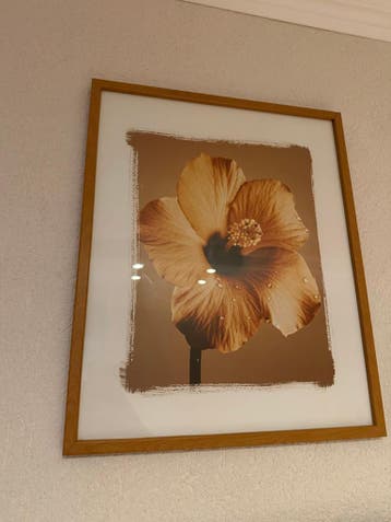 Set van 3 ingelijste bloemenprints