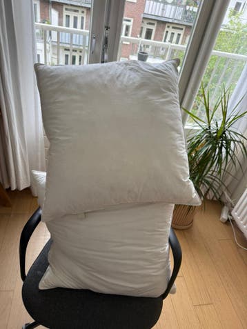 Zara Pillow (medium hard)