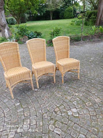 Gratis set van 6 rieten tuin of serre stoelen
