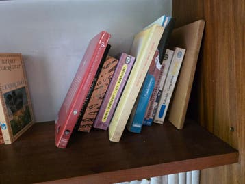 Collectie Franse literatuur - Diverse auteurs