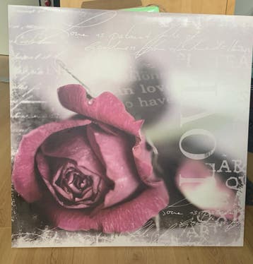Gratis op de halen canvas roos