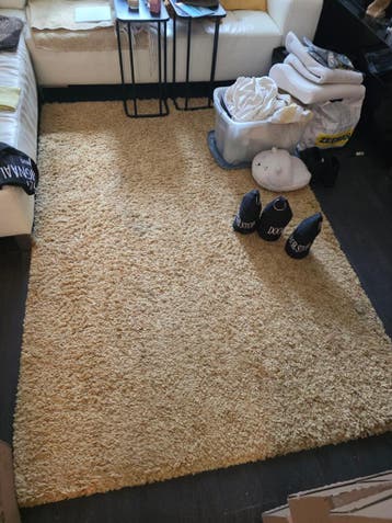 Gratis ophalen 2 vloerkleden amstelveen