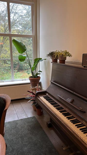 Leutke Piano - Klassiek en Authentiek