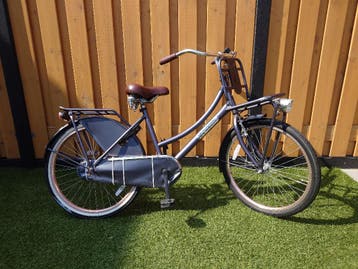 Popal Daily Dutch Basic 24 inch Transportfiets Meisjes