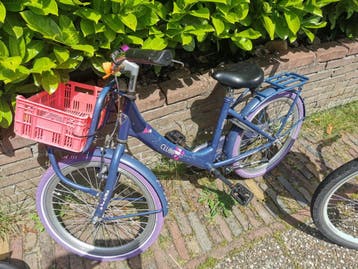 Alpina Clubb 20 inch meisjesfiets - Opknapper