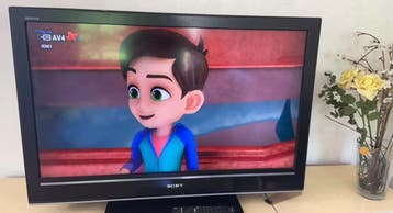 Full HD Sony Bravia TV gratis ophalen