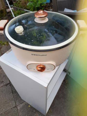 Royalstar slowcooker