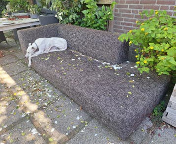 GRATIS Chaise longue