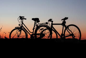 Gezocht elektrische fiets in goede staat onder de 300 euro
