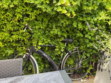 Gratis Fiets af te halen