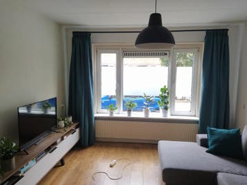 Verduisterende gordijnen groen / blauw / turquoise