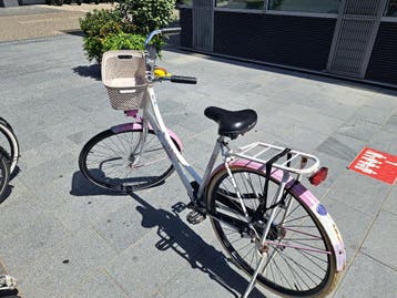 Omafiets (kromme achterwiel)