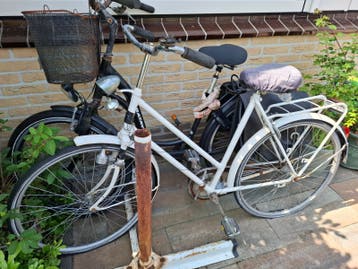 Gratis 2 dames fietsen opknappers