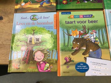 Lezen en begrijpen AVI M3, M4,