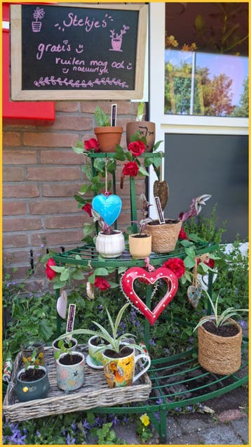 Gratis stekjes