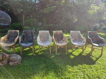 6x Fijne eetkamerstoelen - Gratis op te halen