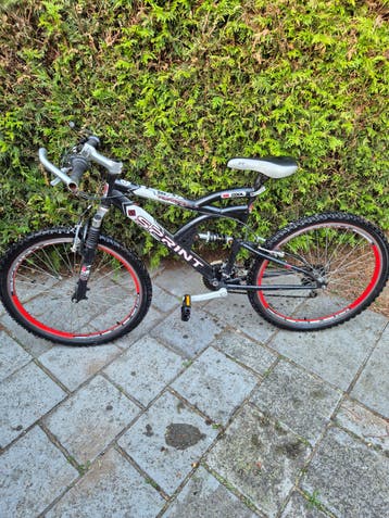 Fiets met gebruikssporen - 28 inch velgen