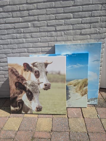 Buiten Canvassen