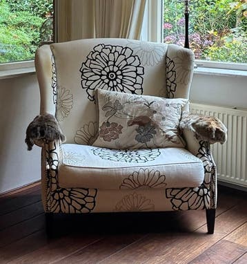 Oorfauteuil - gratis af te halen
