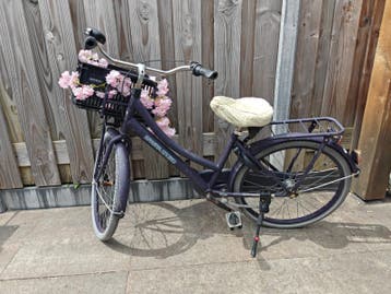 Gratis; meisje fiets 24