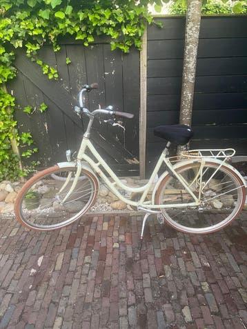 Gratis ophalen - Damesfiets - mintgroen met bruine banden