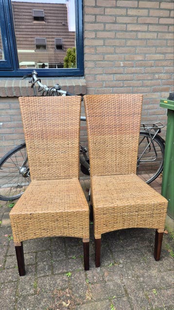 Set van 2 rotan stoelen