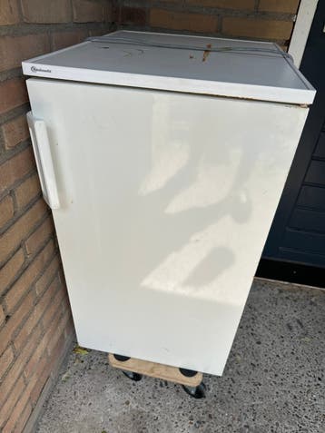 Bauknecht Koelkast met Vriesvak - Compact en Functioneel