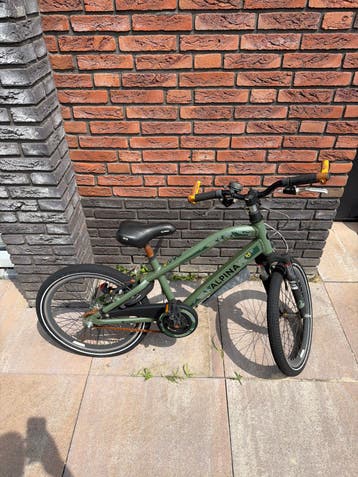 Alpina kinderfiets 20 inch - Groen - gratis afhalen