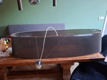 Ovale hanglamp met kristallen decoratie