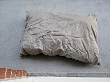 Gratis hondenkussen groen/zwart