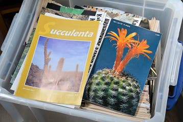 Heel veel cactus maandbladen: Succulenta en Kakteen