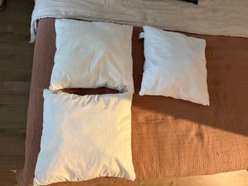 3 binnen kussens H&M HOME 50x50 GRATIS
