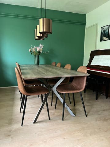 Grote eettafel met 8 stoelen 240/100