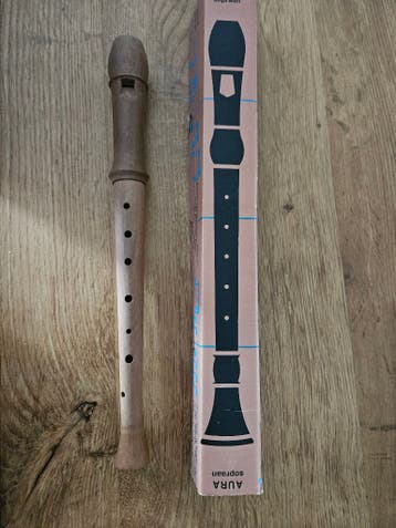 Blokfluit zgan vintage