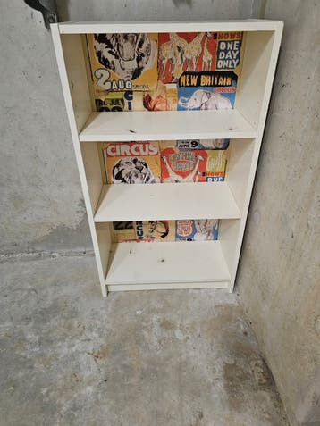 IKEA Billy boekenkast met circusprint