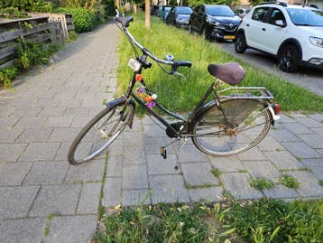 Union holland safari damesfiets donkergroen