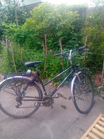 Batavus Commanche Damesfiets - Opknapper