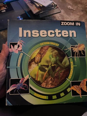 Zoom In: Insecten - Ontdek de fascinerende wereld