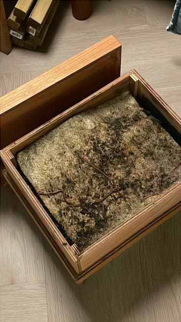 Composting wormery / wormenbak hout