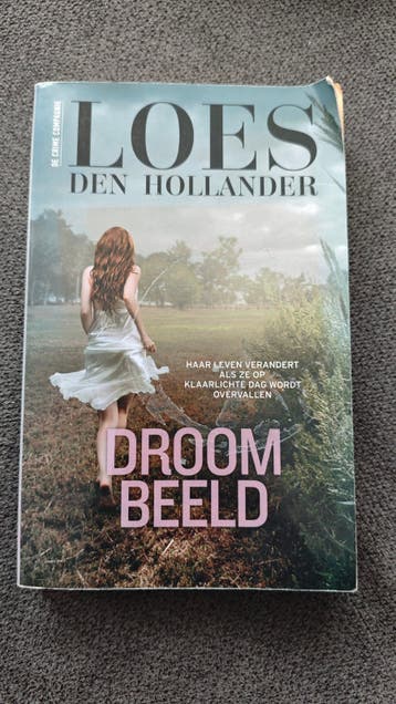 Droombeeld - Loes den Hollander (Thriller)