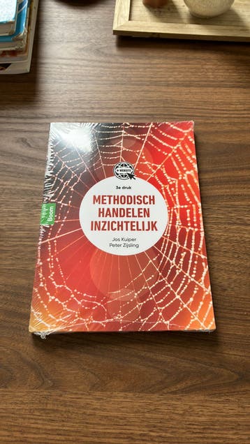 GRATIS - Methodisch handelen inzichtelijk, Peter Zijsling
