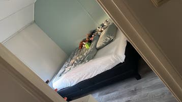 GRATIS Elektrisch tweepersoonsbed met matras