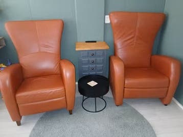 Fauteuil 2 stuks echt leder, 1 verstelbaar, Gratis ophalen