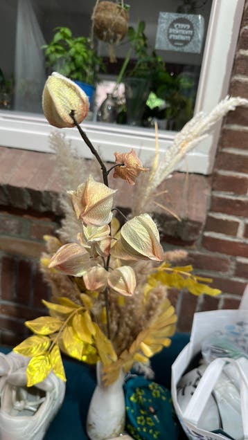 Nepbloemen/planten