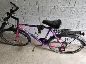 Minerva mountainbike