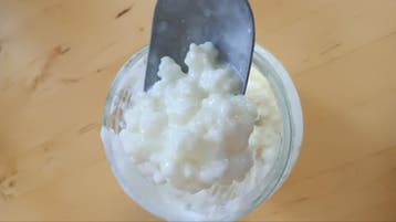 Wil je maken jouw eigen kefir?