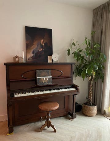 MOET ZSM WEG - Drannek piano