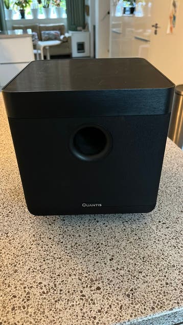 Quantis LSW-1 Subwoofer voor de handige reperateur